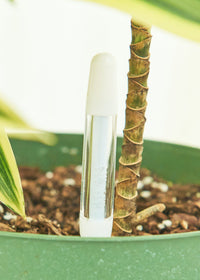 Thumbnail for Moisture Meter, Large - SunSwill Plant Shop