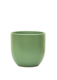 Thumbnail for Rounded Ceramic Planter, Green 5